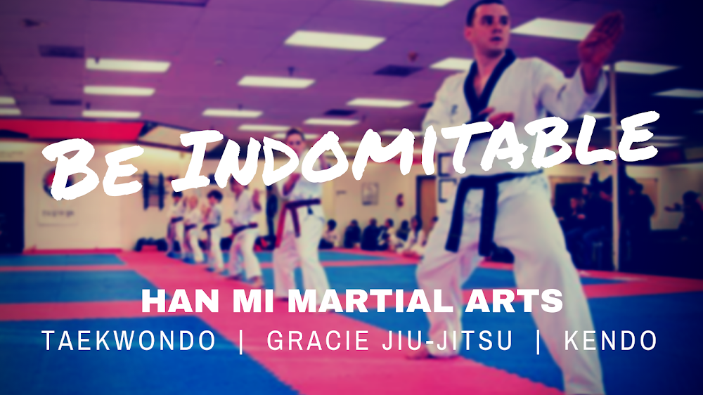 Han Mi Martial Arts / Gracie Damascus